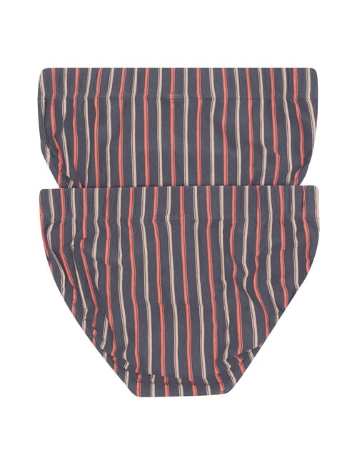 Jockey Sports Stripe Brief, 2-Pack, Steel Waters & Breezy Stripe product photo View 02 L