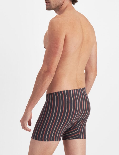 Jockey Sports Stripe Mid Trunk, 2-Pack, Steel Waters & Breezy Stripe product photo View 04 L