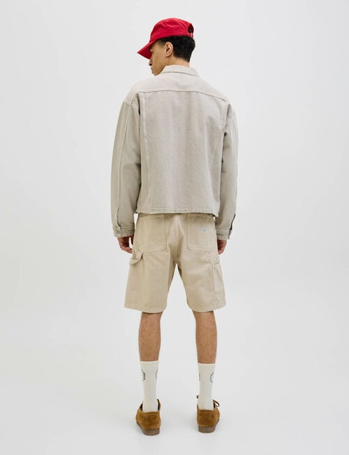 Jack & Jones Tony Carpenter Shorts, Fields Of Rye product photo View 02 L