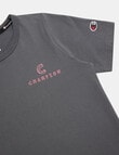 Champion Graphic Short Sleeve Tee, Grey product photo View 03 S