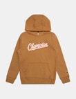 Champion Graphic Hoodie, Brown product photo