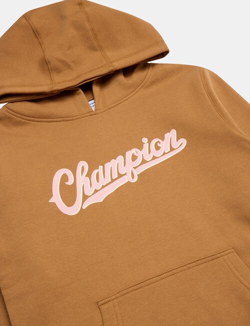 Champion Graphic Hoodie, Brown product photo View 03 L