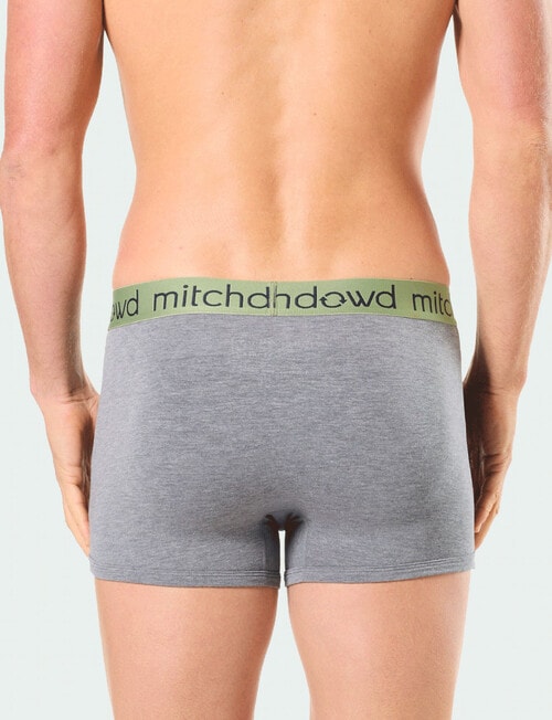 Mitch Dowd Surf Pups Bamboo Trunk, 2-Pack, Assorted, Green product photo View 03 L