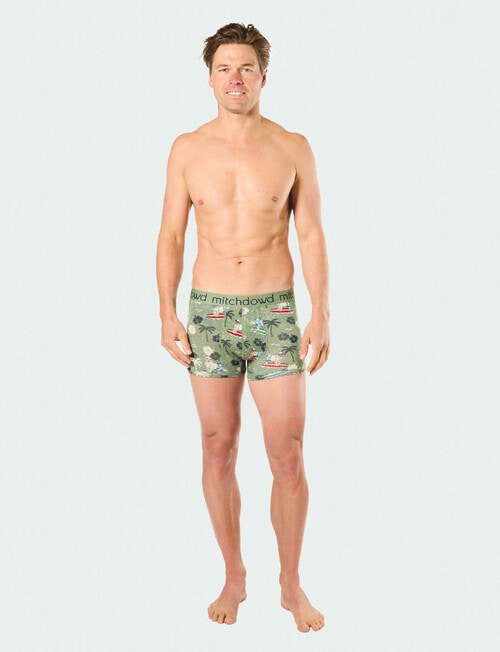 Mitch Dowd Surf Pups Bamboo Trunk, 2-Pack, Assorted, Green product photo View 05 L