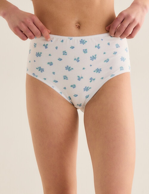 Lyric Floral Blue Full Briefs, 4-Pack, Blue & White product photo View 02 L