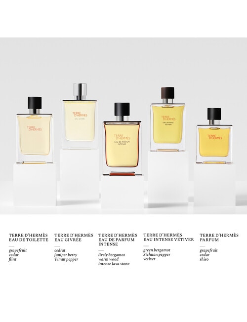 Hermes Terre d'Herm&egrave;s, Eau de Parfum Intense product photo View 05 L