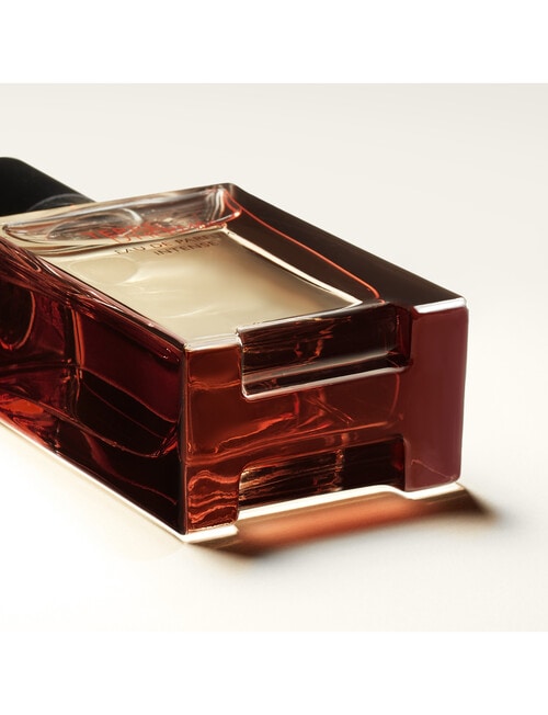 Hermes Terre d'Herm&egrave;s, Eau de Parfum Intense product photo View 03 L