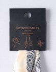 Boston + Bailey Silk Square Paisley Print Scarf, Ivory product photo View 02 S