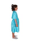 Frozen 2 Elsa Costume, Sizes 3 - 5 Years Old product photo View 03 S