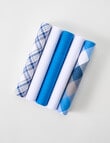 Laidlaw + Leeds Check Hankies, Navy product photo View 03 S