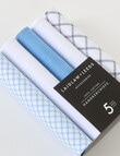 Laidlaw + Leeds Check Hankies, Blue product photo View 03 S