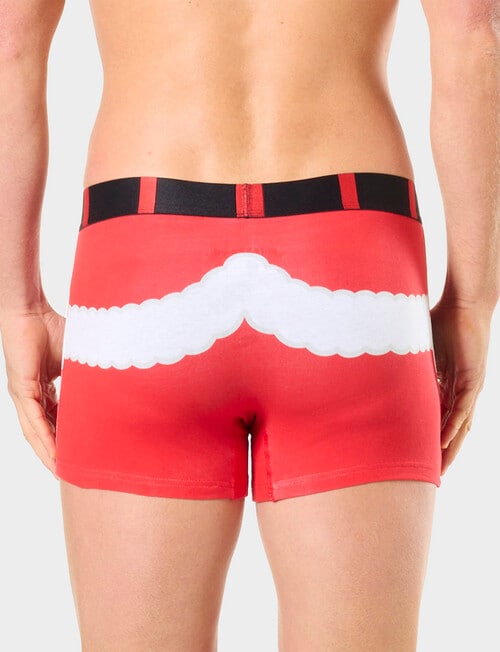 Mitch Dowd Xmas Trunk & Santa Pants Hat Set, Red product photo View 03 L