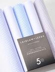 Laidlaw + Leeds Gingham Hankies product photo View 02 S