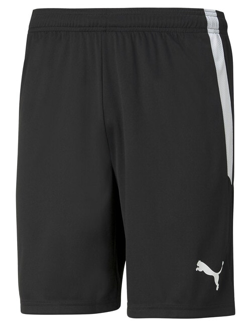 Puma Teamliga Shorts, Black product photo