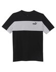 Puma Essentails Bloack Short Sleeve Tee, Black product photo