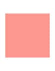 Dior Dior Backstage Rosy Glow Blush product photo View 03 S