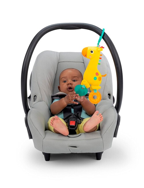 Bright Starts Giraffe Peg Teether product photo View 03 L