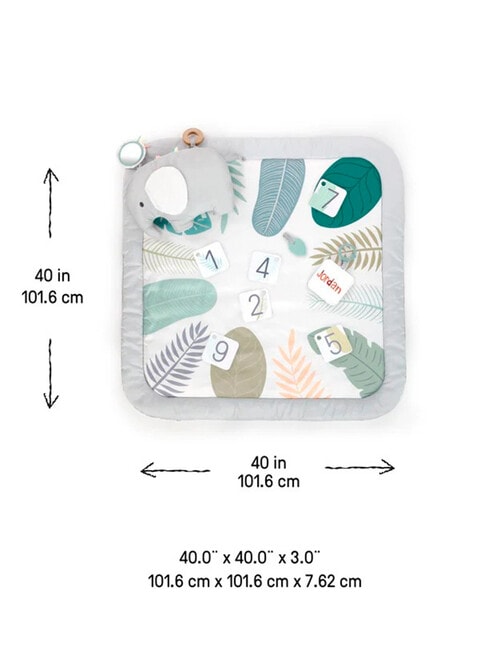 Ingenuity Baby Milestone Play Mat product photo View 02 L