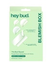 Hey Bud The Bud Squad Blemish Box product photo