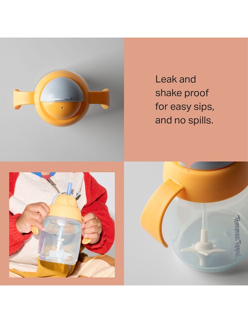 Tommee Tippee Trainer Straw Cup, 6M+, 300ml product photo View 12 L