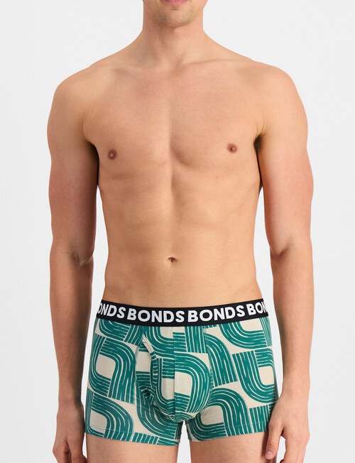 Bonds Classic Trunk, 3-Pack, Zen Garden, Water Grass & Nu Black product photo View 03 L