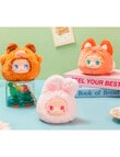 EMMA Rua Zoo Vinyl Plush Blind Box, Assorted product photo View 07 S