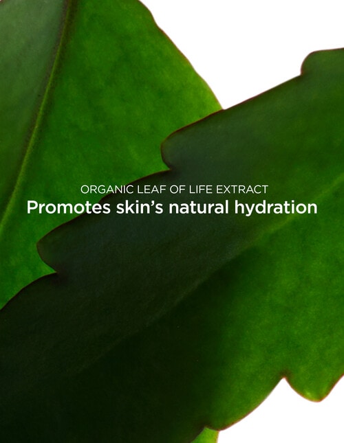 Clarins Fresh Scrub, 50ml product photo View 04 L