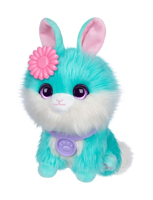 Scruff A Luvs Pet Blue product photo View 05 L