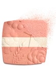 CHANEL LES SIGNES DE Illuminating Powder Blush product photo View 03 S