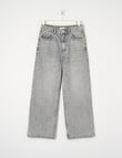 Switch Harlow Wide Leg Jean, Grey product photo