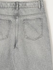 Switch Harlow Wide Leg Jean, Grey product photo View 02 S