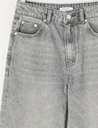 Switch Harlow Wide Leg Jean, Grey product photo View 03 S
