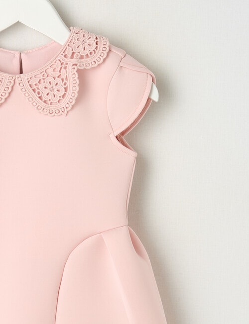 Mac & Ellie Party Collection Clara Bow Dress, Blush product photo View 02 L