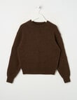 Switch Charli Knit Jumper, Chocolate product photo