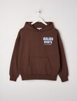 Switch Malibu Sports Oversized Hoodie, Chocolate & Sky product photo