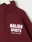 Switch Malibu Oversized 1/4 Zip Sweatshirt, Red Velvet product photo View 03 S