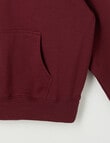 Switch Malibu Oversized 1/4 Zip Sweatshirt, Red Velvet product photo View 04 S