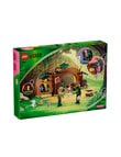 Lego Wicked Wicked Elphaba'S Retreat, 75687 product photo View 10 S