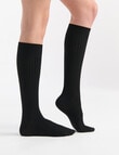 Ambra Organic Cotton Rib Knee-Hi Sock, Black product photo View 04 S