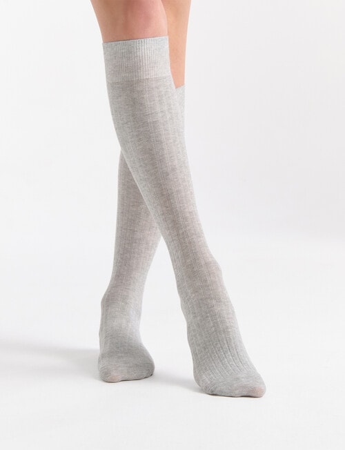 Ambra Organic Cotton Rib Knee-Hi Sock, Grey Marle product photo View 03 L