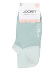 Jockey Woman Comfort Classic Bamboo No Show Socks, 3-Pack, Sage Whisper & Gumleaf product photo