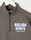 Switch Malibu Sports Oversized 1/4 Zip Sweatshirt, Charcoal & Lilac product photo View 02 S