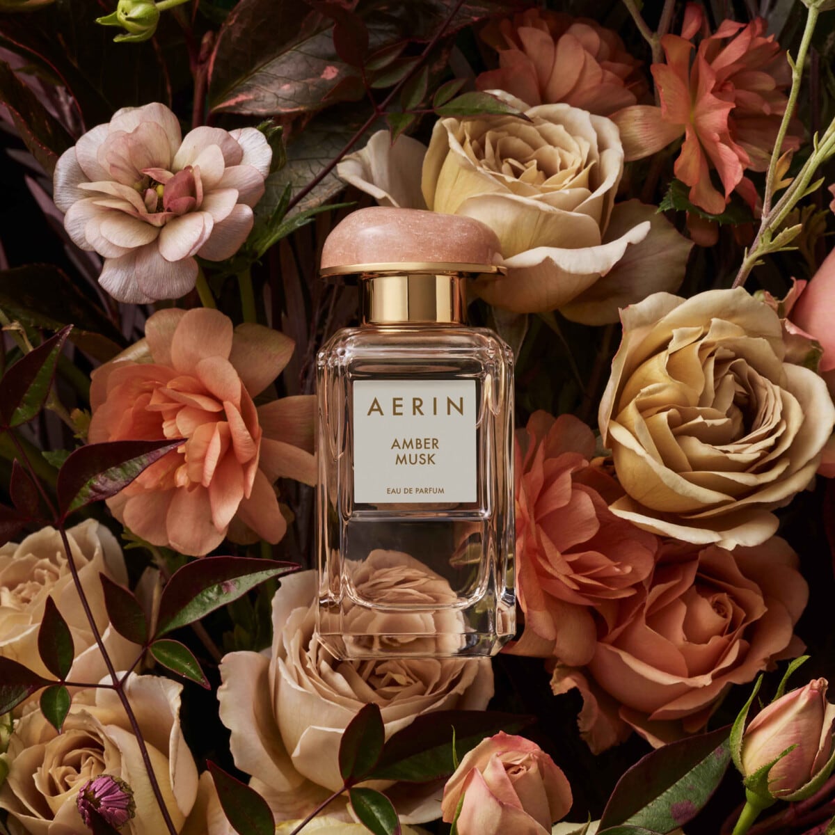 Aerin Amber Musk EDP, 50ml Women's Perfumes
