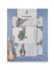 Peter Rabbit Peter & Benjamin Face Washers, 3-Pack product photo