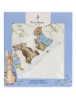 Peter Rabbit Peter & Benjamin Hooded Towel product photo