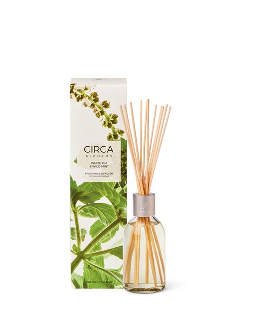 CIRCA Diffuser, 250ml, Alchemy White Tea & Wild Mint product photo