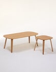 Haven Furniture Sora Occasional Set product photo