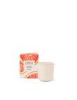 CIRCA Candle, 300g, Alchemy Grapefruit & Cedarwood product photo