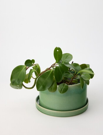 Tilly Home Vert Planter product photo