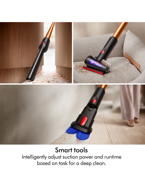 Dyson V16 Piston Animal Submarine Wet & Dry Vacuum, 496024-01 product photo View 11 L